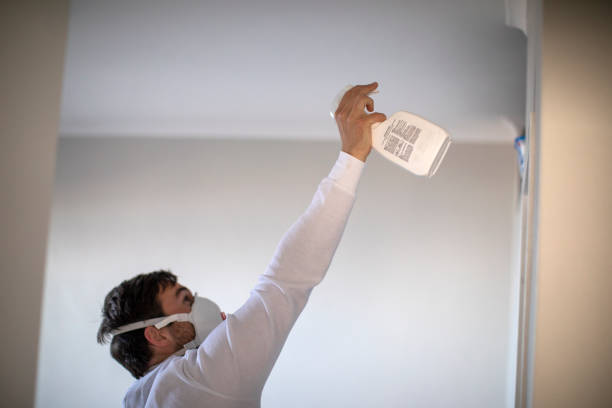 Mold Testing and Removal in Terra Alta, WV