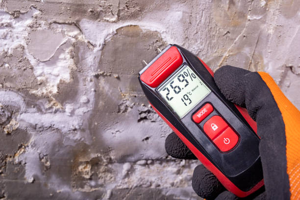 Best Toxic Mold Removal  in Terra Alta, WV
