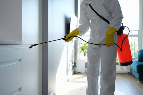 Mold Removal and Inspection in Terra Alta, WV