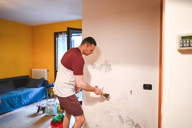 Best Affordable Mold Removal  in Terra Alta, WV